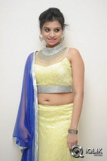 Priyanka-at-Adhee-Lekka-Movie-Platinum-Disc-Function